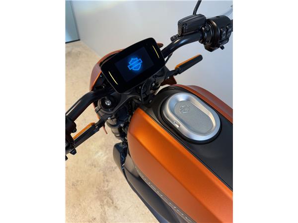 2021 HARLEY-DAVIDSON LiveWire Live Wire