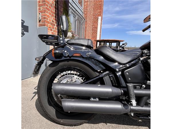 Street Bob 