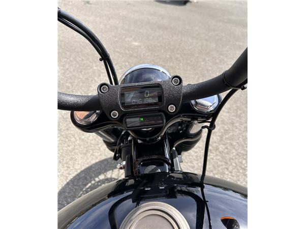 Street Bob 