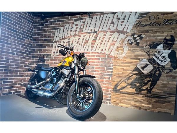 2018 HARLEY-DAVIDSON Sportster XL 1200 X Forty Eight ABS
