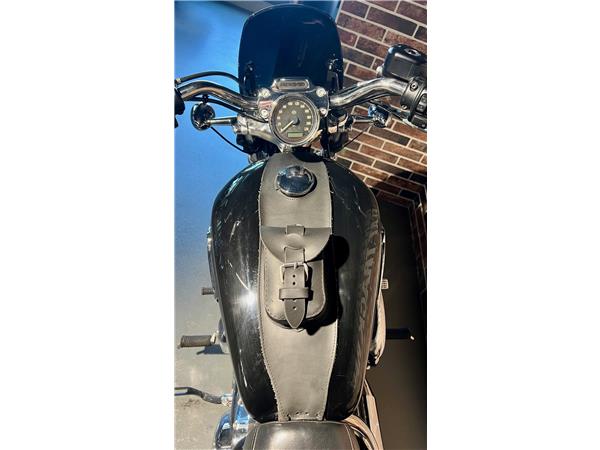 2015 HARLEY-DAVIDSON Sportster XL 1200 C Sportster Custom ABS
