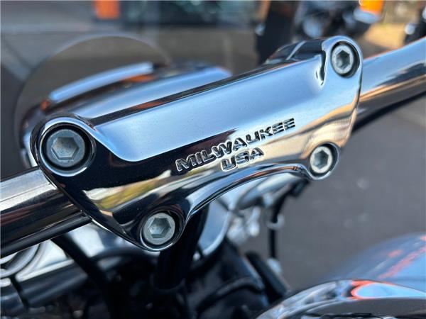 2019 HARLEY-DAVIDSON SOFTAIL FXLR LOWRIDER