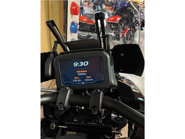 2021 HARLEY-DAVIDSON PAN AMERICA