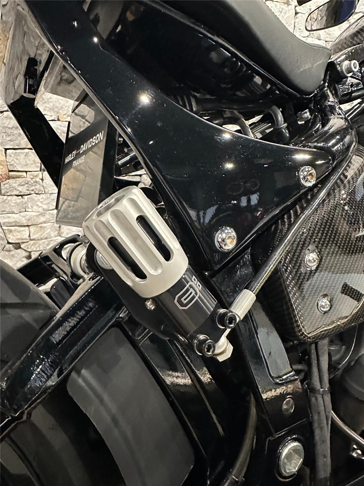2023 harley-davidson FXLRS Low Rider S 117