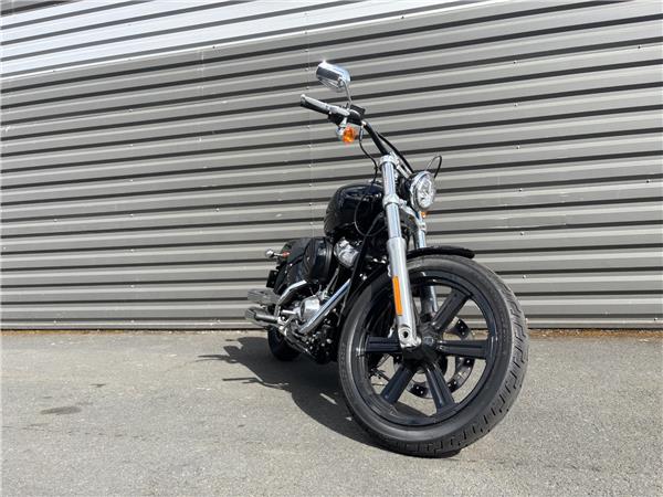 2024 HARLEY-DAVIDSON STANDARD
