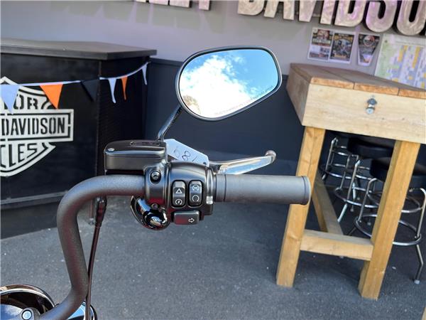 2023 Harley-Davidson Softail