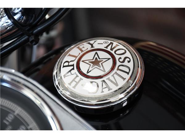 2016 HARLEY-DAVIDSON SOFTAIL FLSTF FAT BOY