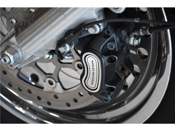 2016 HARLEY-DAVIDSON SOFTAIL FLSTF FAT BOY