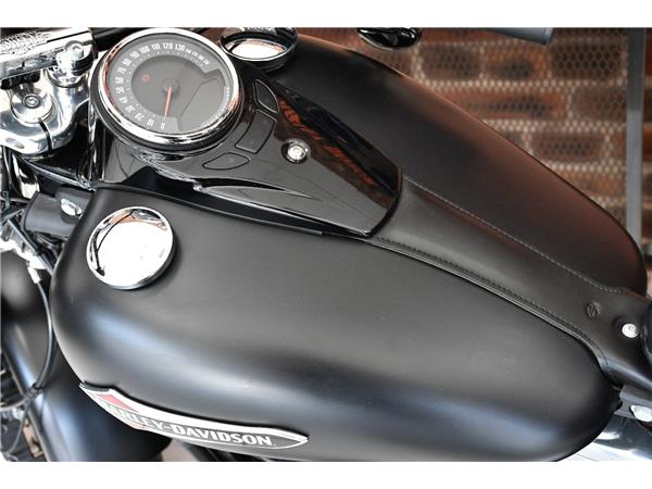 2018 HARLEY-DAVIDSON SOFTAIL FLSL SLIM