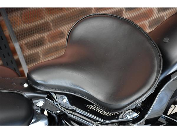 2018 HARLEY-DAVIDSON SOFTAIL FLSL SLIM