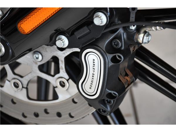 2022 HARLEY-DAVIDSON SOFTAIL FXBRS BREAKOUT 114