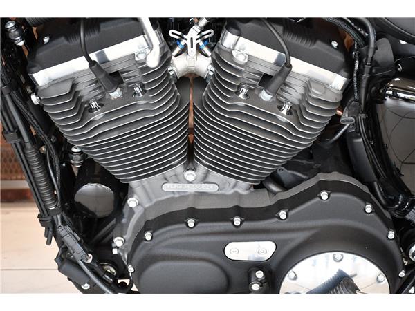 2018 HARLEY-DAVIDSON SPORTSTER XL1200CX ROADSTER