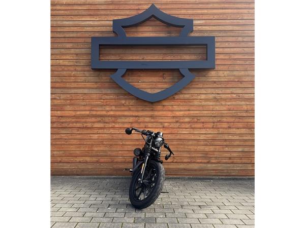 Sportster Iron 1200 