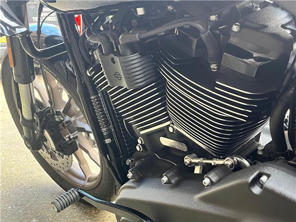 2023 Harley-Davidson Softail