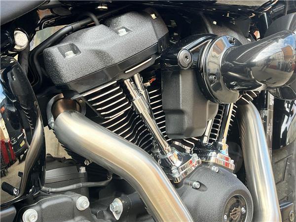2023 Harley-Davidson Softail
