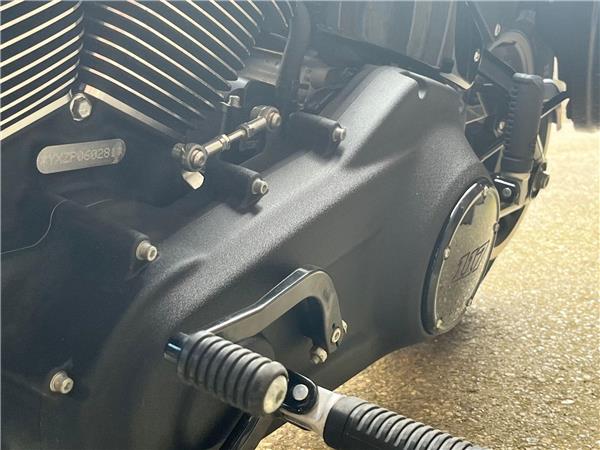 2023 Harley-Davidson Softail