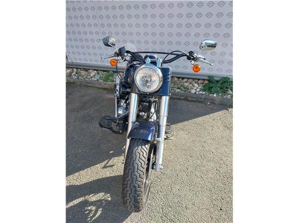 2013 HARLEY-DAVIDSON SLIM