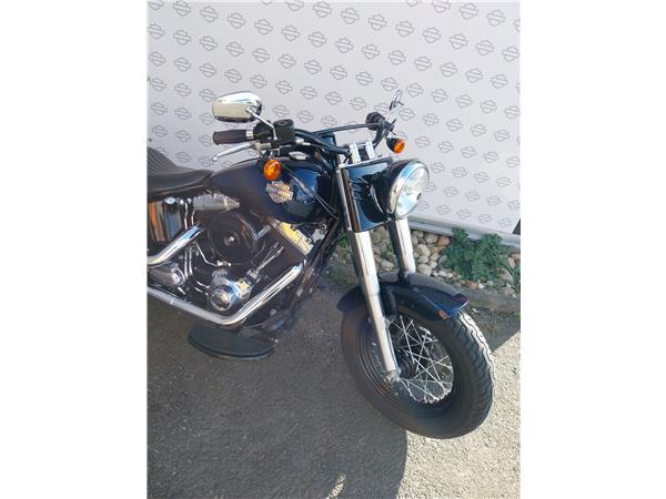 2013 HARLEY-DAVIDSON SLIM