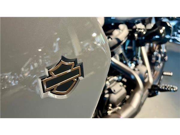 2022 HARLEY-DAVIDSON Softail FXLRST Low Rider ST 117