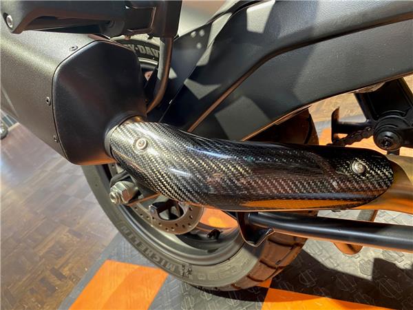 RA1250S Pan America Special + J&H Auspuff + ARH