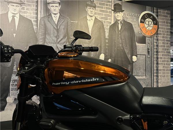 2020 HARLEY-DAVIDSON LIVEWIRE
