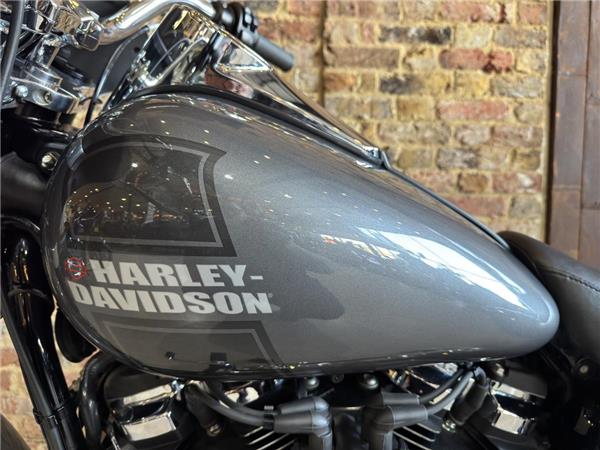 2022 Harley-Davidson Softail
