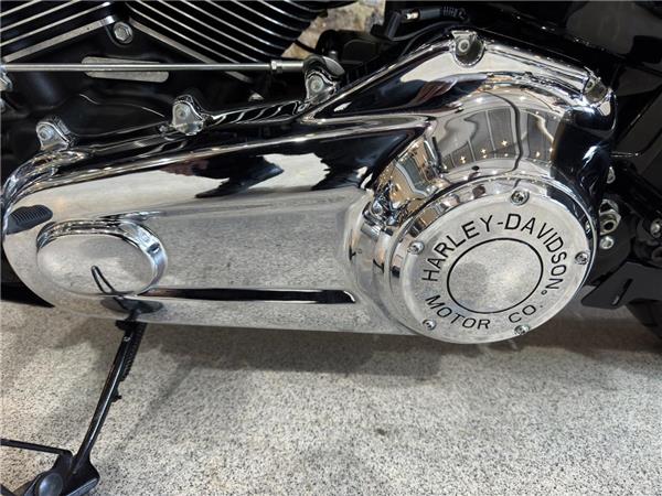 2022 Harley-Davidson Softail