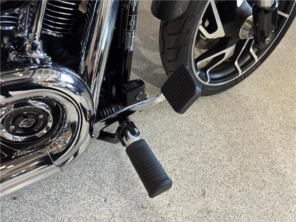 2022 Harley-Davidson Softail