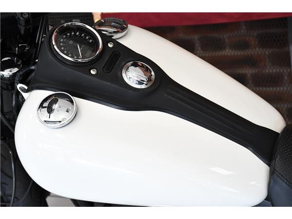 2014 HARLEY-DAVIDSON DYNA FXDB STREET BOB