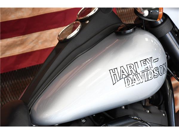 2019 HARLEY-DAVIDSON SOFTAIL FXLRS LOW RIDER S