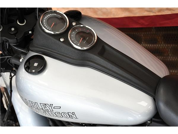 2019 HARLEY-DAVIDSON SOFTAIL FXLRS LOW RIDER S