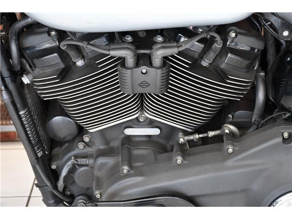 2019 HARLEY-DAVIDSON SOFTAIL FXLRS LOW RIDER S