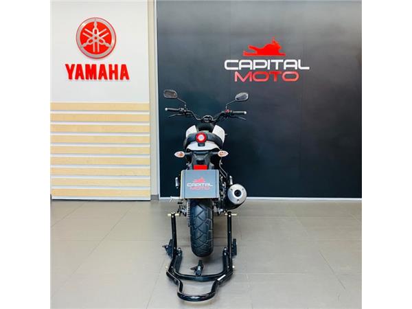 2024 Yamaha XSR-125 WHITE