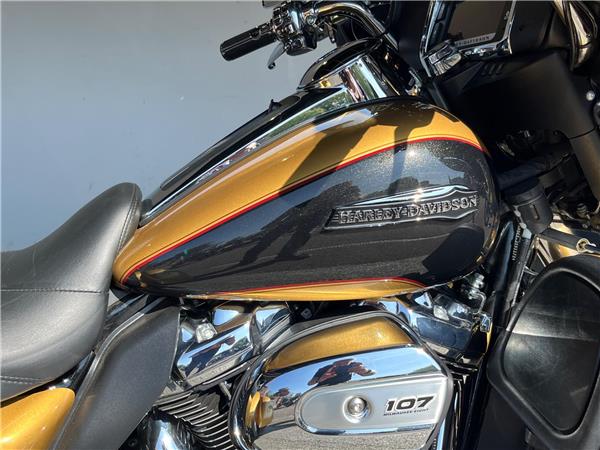 2017 Harley-Davidson Trike