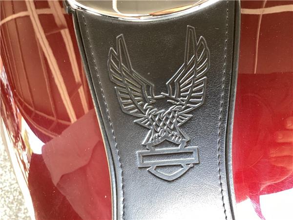 2015 Harley-Davidson Dyna