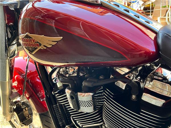2023 Harley-Davidson Softail