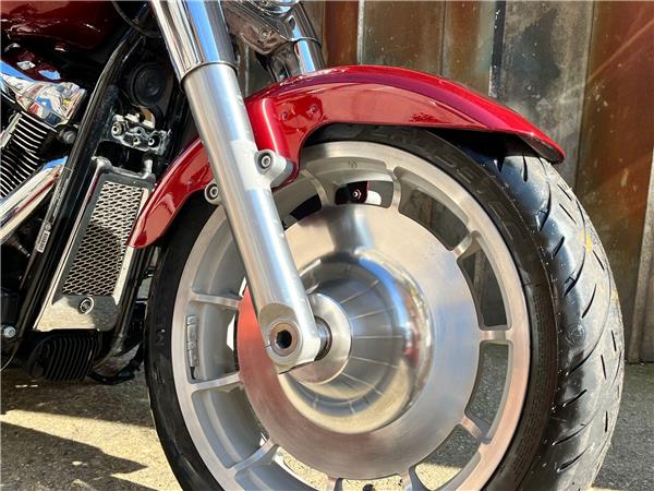2023 Harley-Davidson Softail