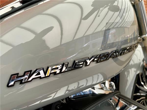 2025 HARLEY-DAVIDSON SOFTAIL FXBR BREAKOUT