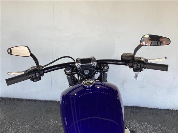 2020 Harley-Davidson Softail