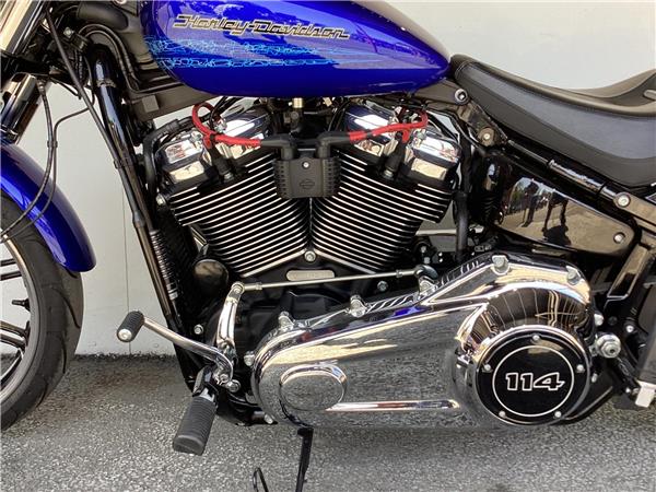 2020 Harley-Davidson Softail