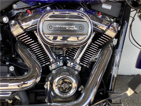 2020 Harley-Davidson Softail
