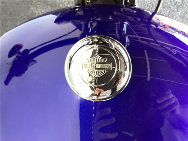 2020 Harley-Davidson Softail