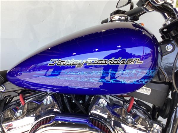 2020 Harley-Davidson Softail