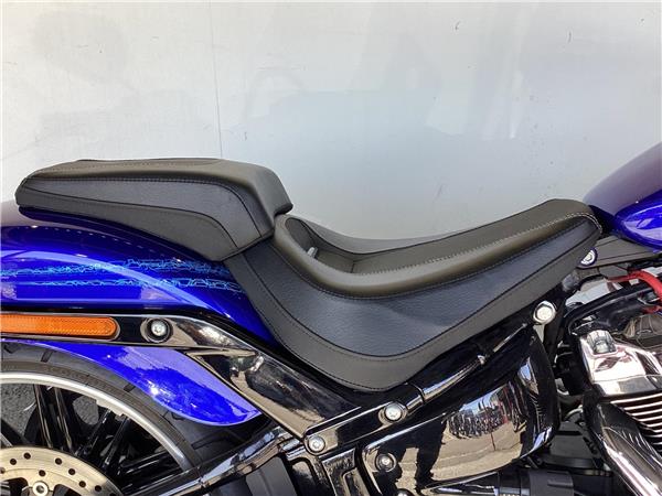 2020 Harley-Davidson Softail