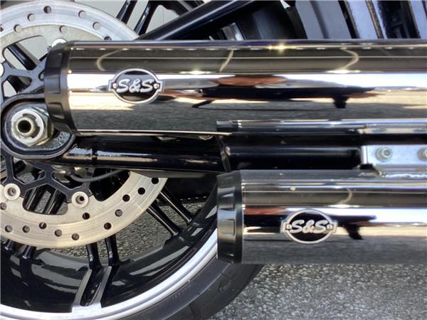 2020 Harley-Davidson Softail