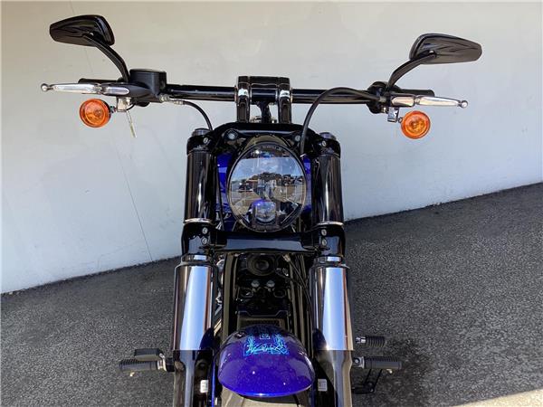 2020 Harley-Davidson Softail