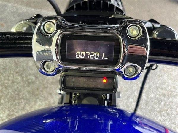 2020 Harley-Davidson Softail