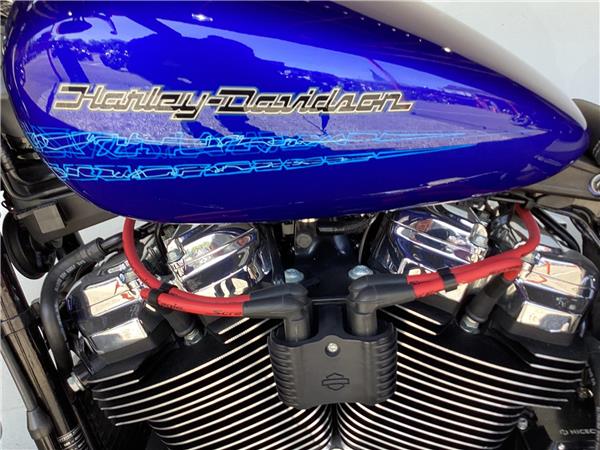 2020 Harley-Davidson Softail
