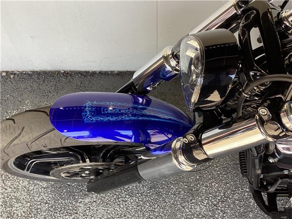 2020 Harley-Davidson Softail