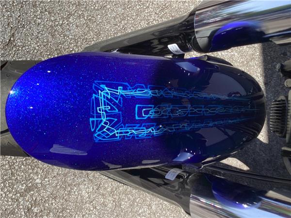 2020 Harley-Davidson Softail